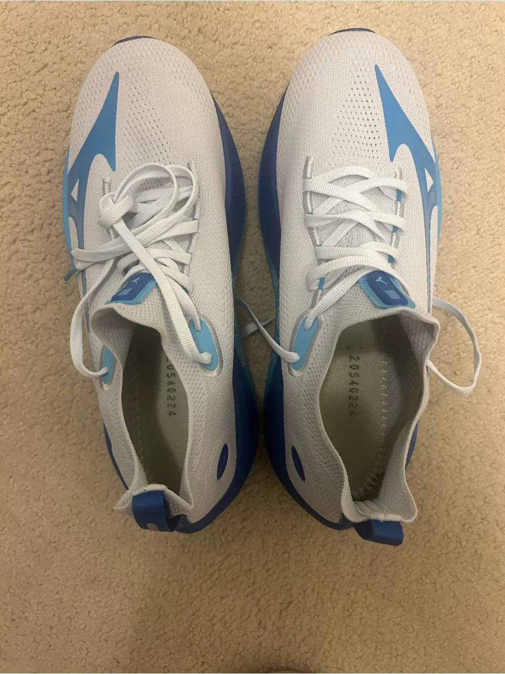 Mizuno Neo Vista Running Shoes